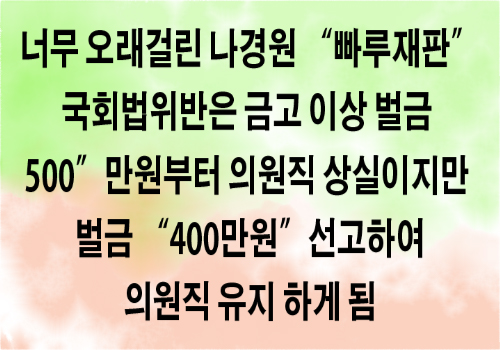 나경원의원의 일명 "빠루재판" 무엇이 문제인가?